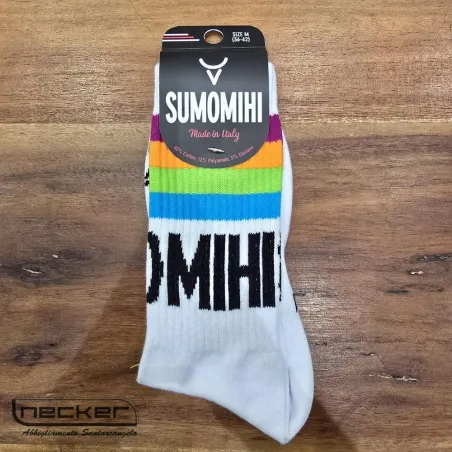 CALZINO RAINBOW S017